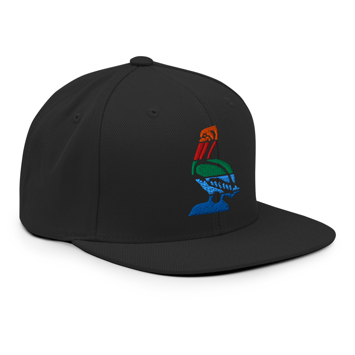St. Petersburg Florida Flag snapback hat in black, back view