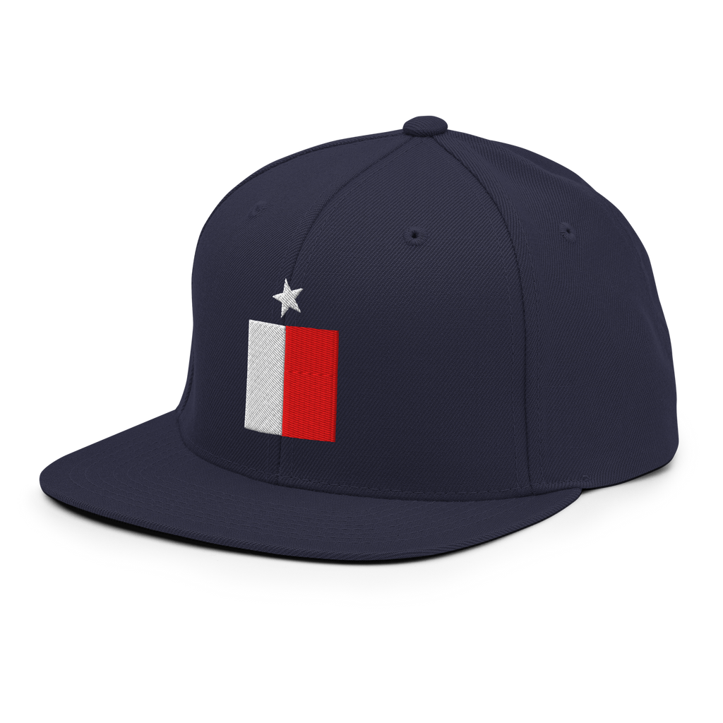 Texas Flag snapback hat in navy, back view