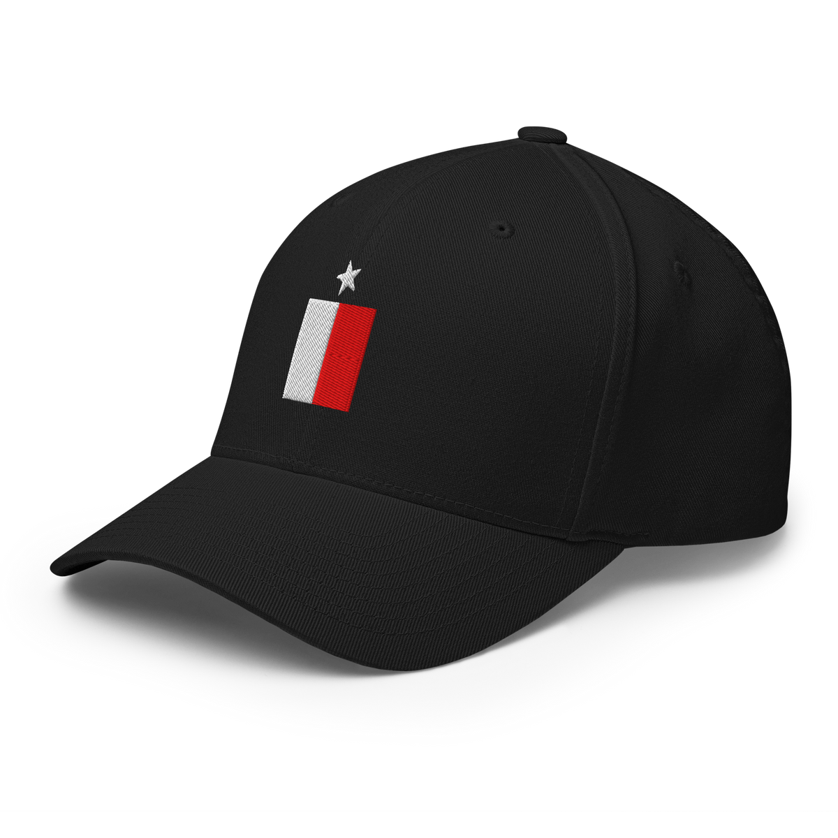 Texas Flag fitted hat in black, back view