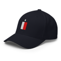 Texas Flag fitted hat in navy, back view
