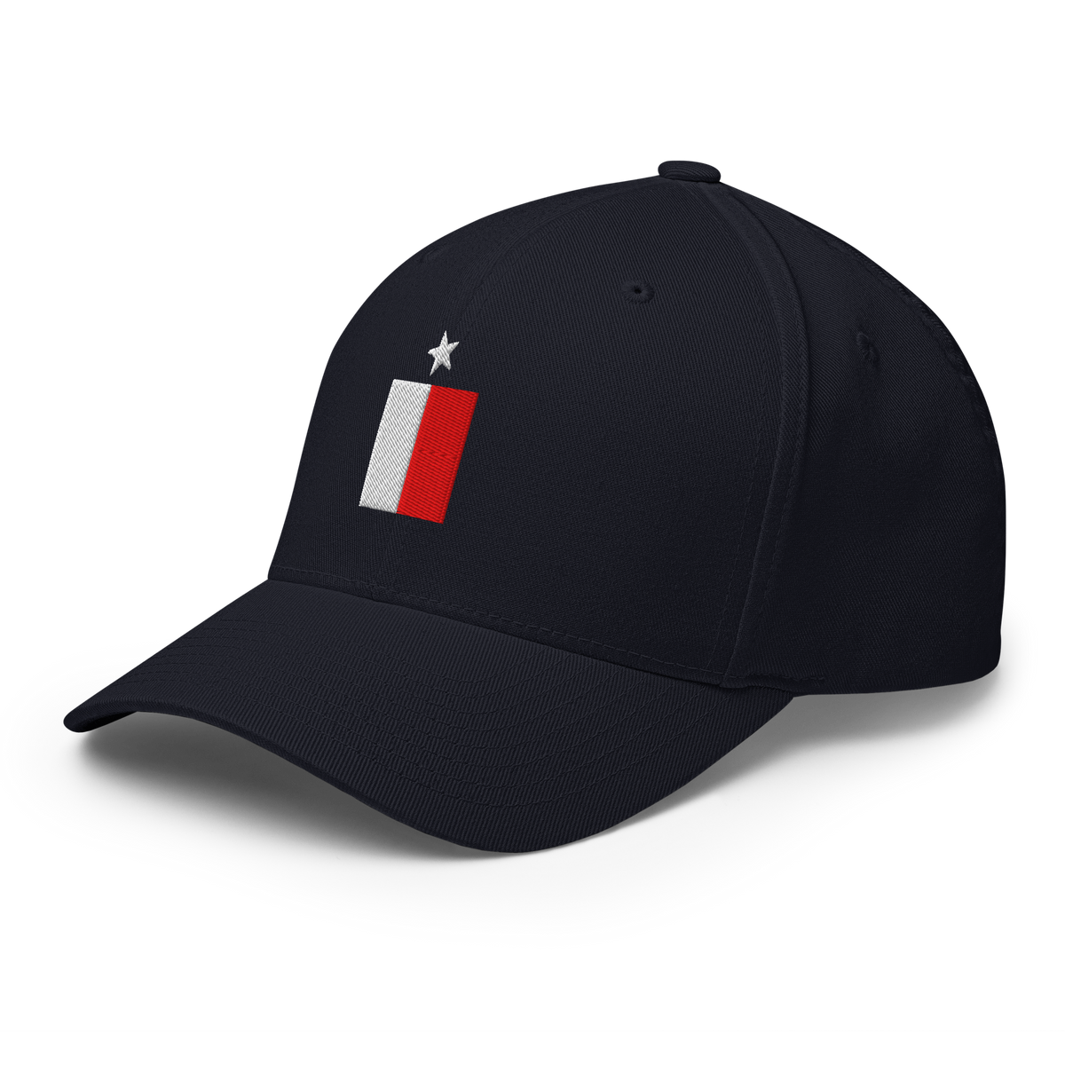 Texas Flag fitted hat in navy, back view